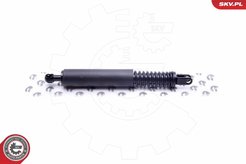 Gas Spring, boot/cargo area